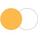 Lastolite 30cm Reflector - Gold/White