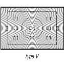 Nikon V Screen for D2X